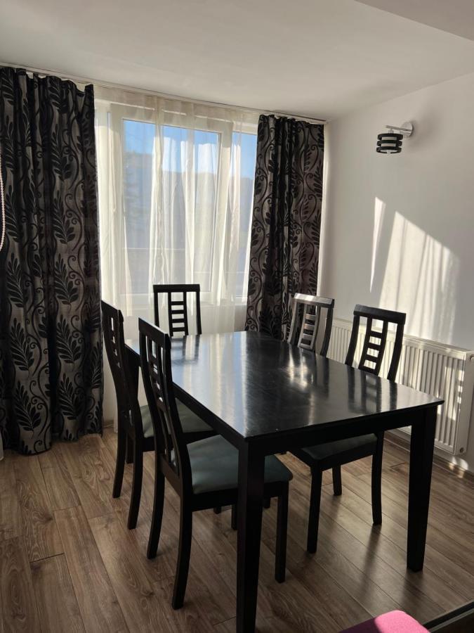 Nordic Sunny Apartment Suceava Esterno foto