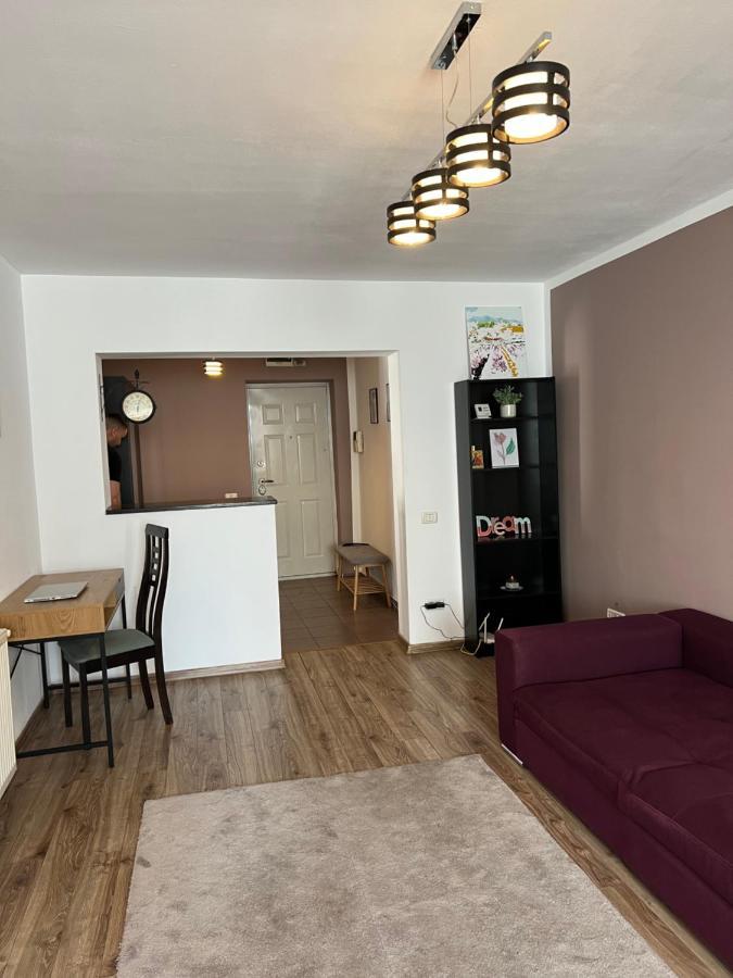 Nordic Sunny Apartment Suceava Esterno foto